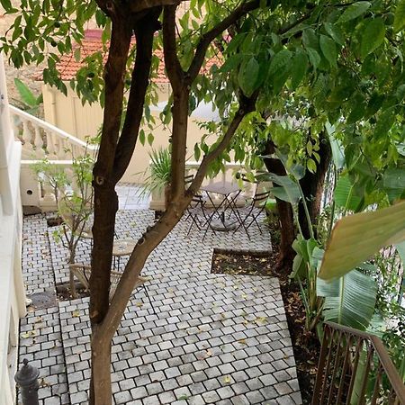 Villa Les Fougeres 2P Jardin Parking Cannes Eksteriør billede